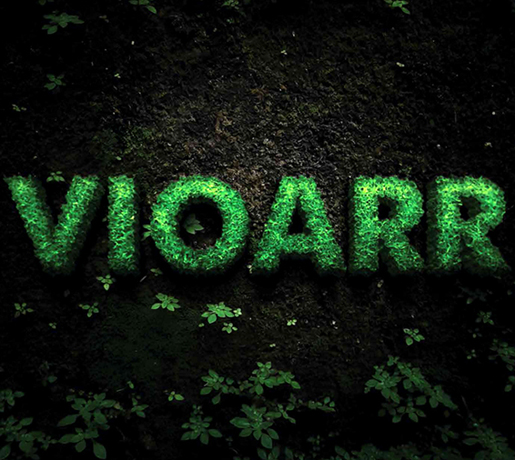 TNBT-VIOARR
